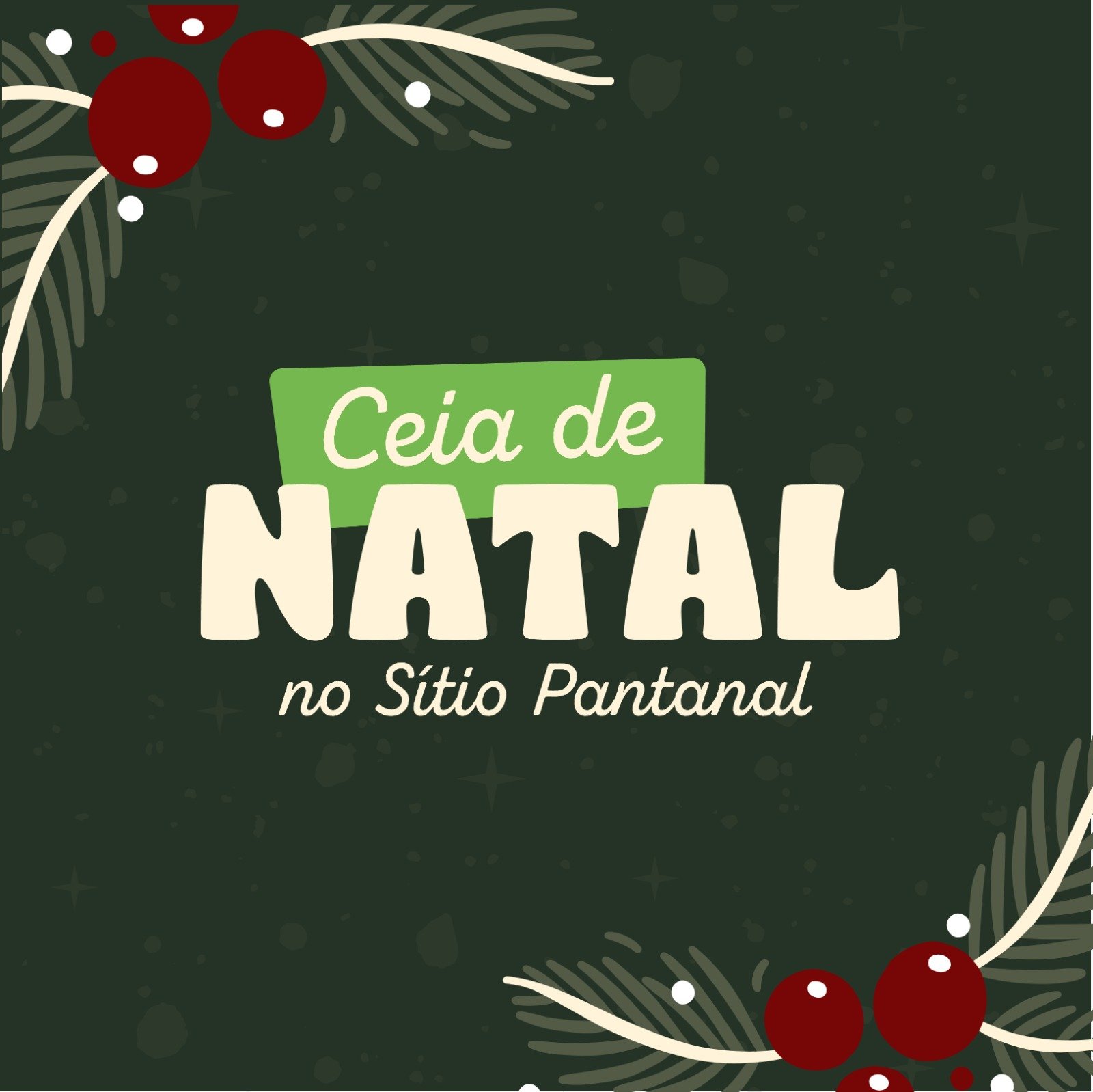 ceia de natal - sitio pantanal